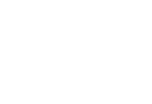 WINPAT（文泰）公司